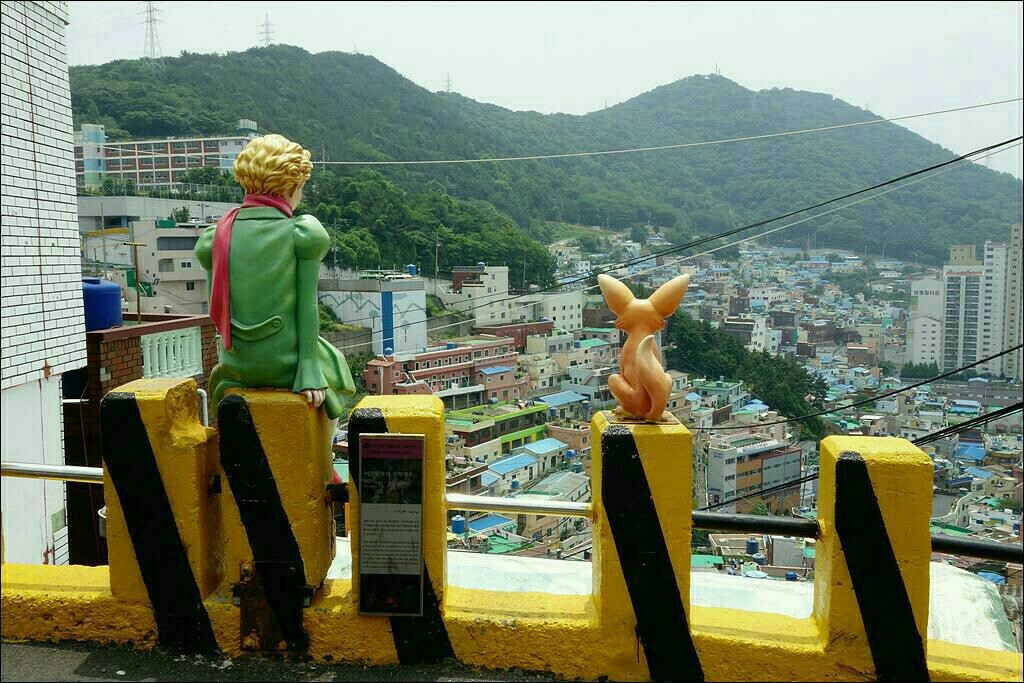 @박하욱