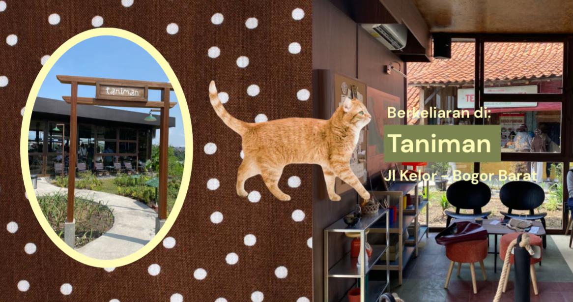 @Tashi | Foods, Places, etc🐻🤎