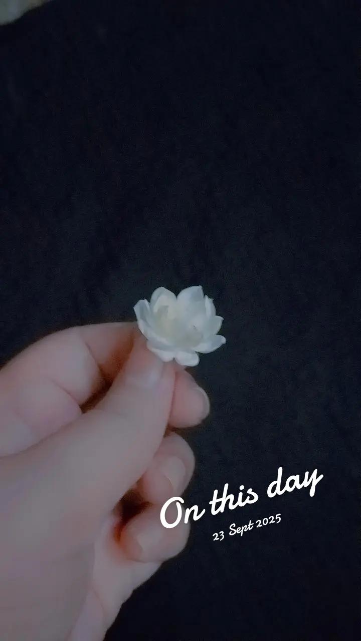 @Mehek