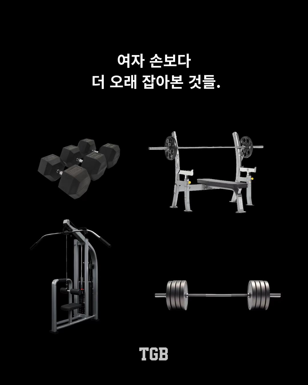 @TGB | 더 게인즈 바이블