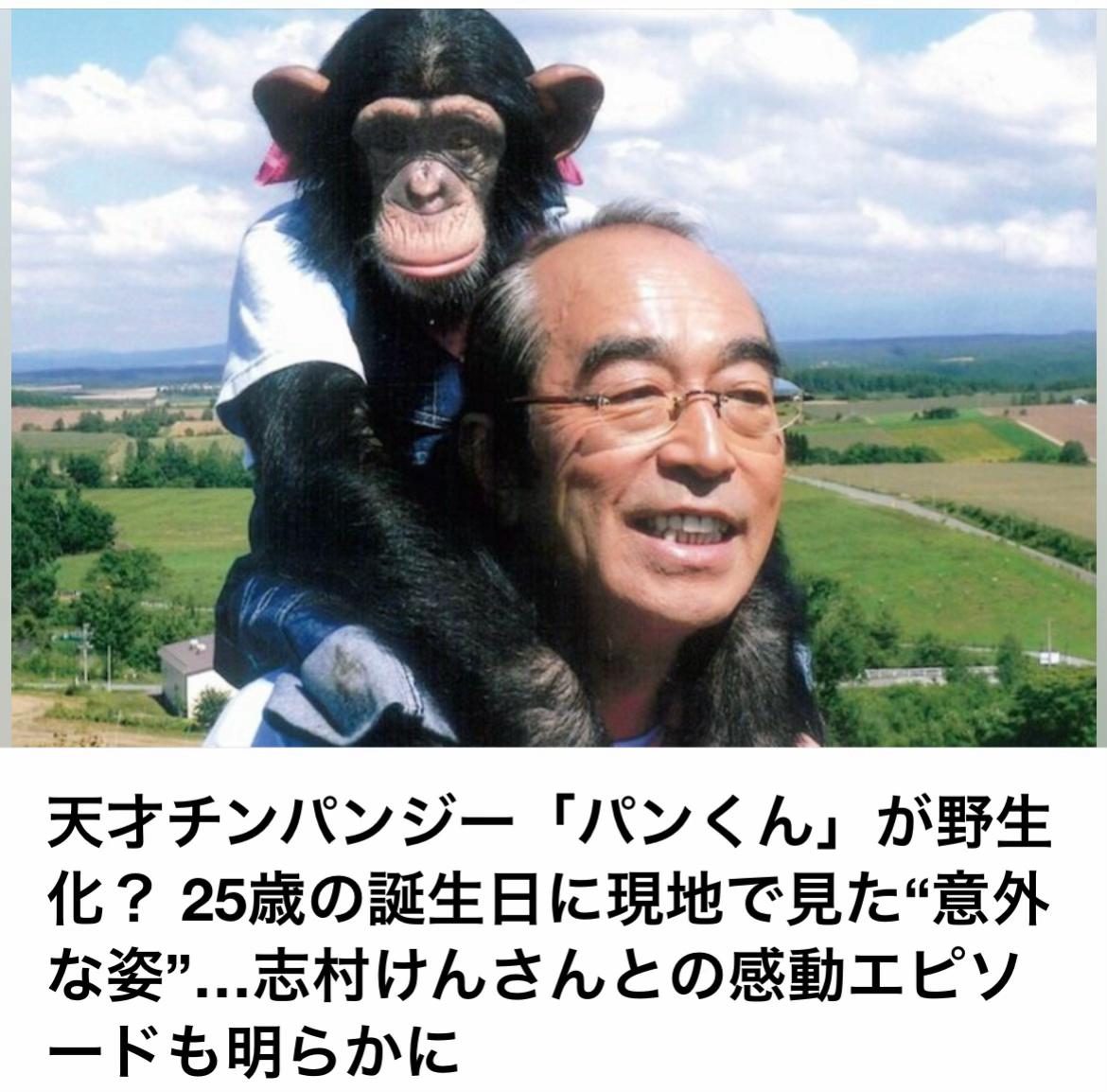 @The Voice Of Japan