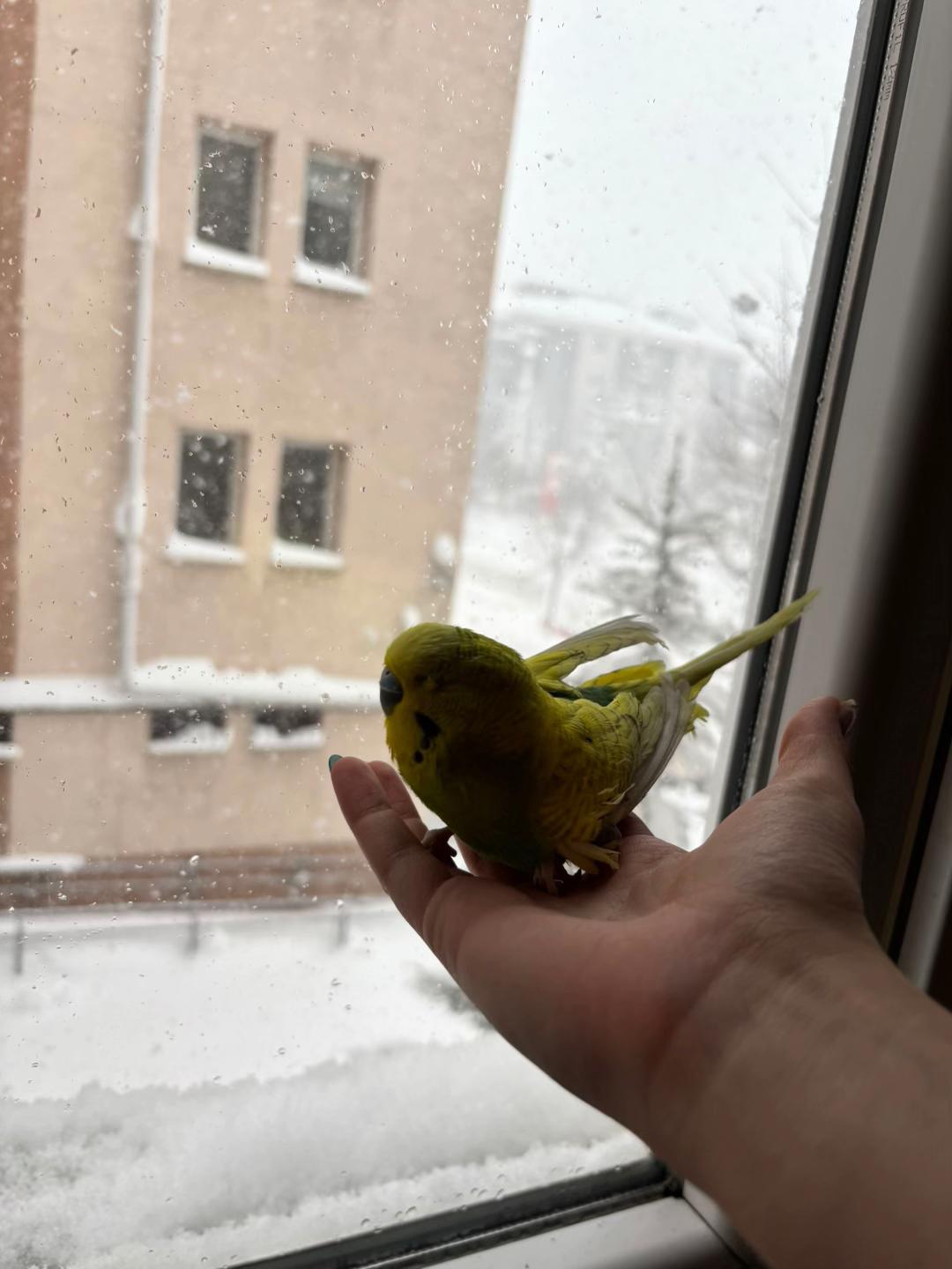 @M