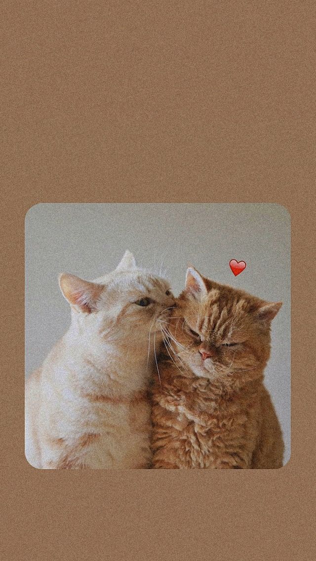 @U & Me