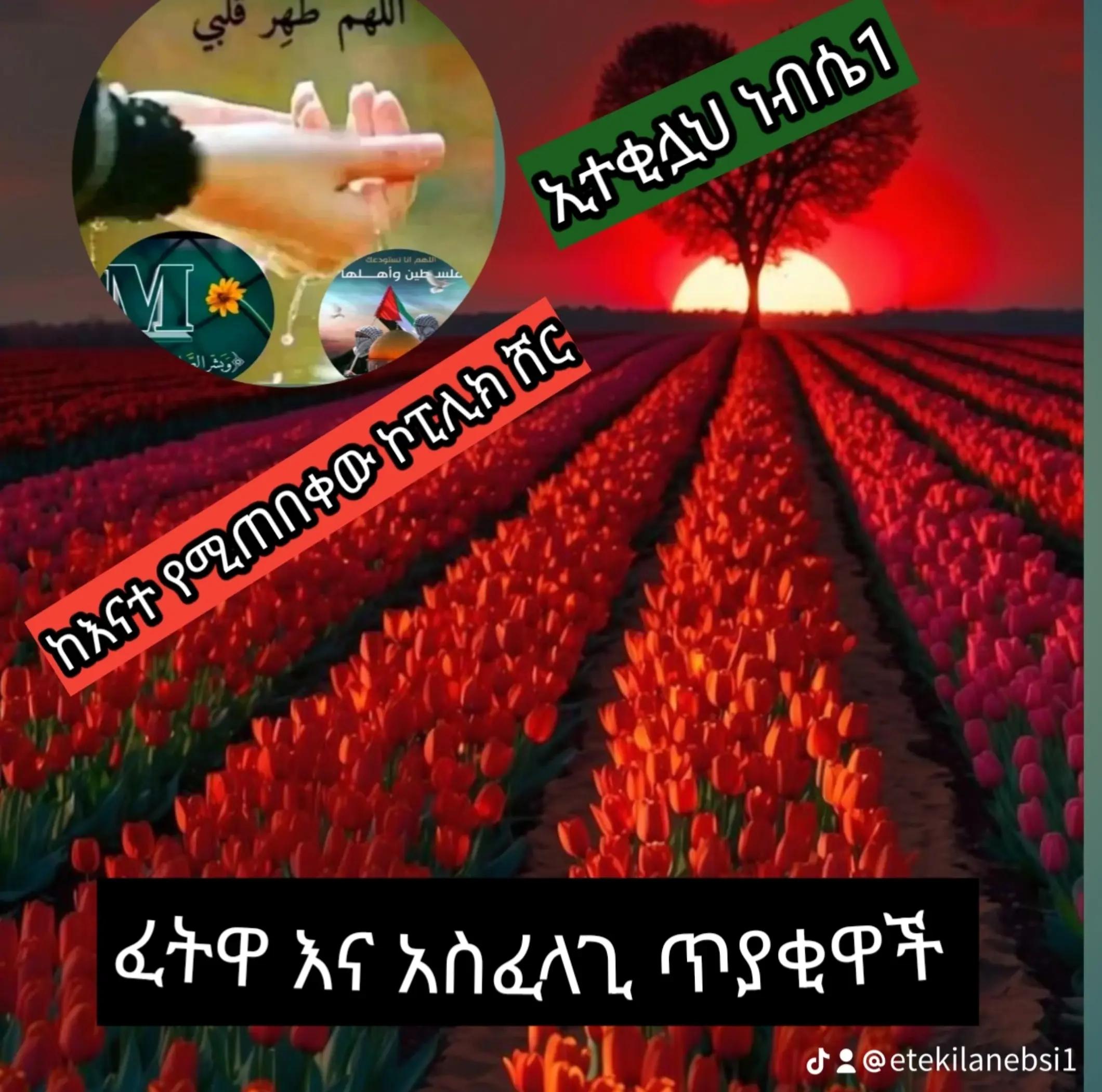 @ኢተቂሏህ ነብሴ 1الله كريم🕊🤍Ⓜ