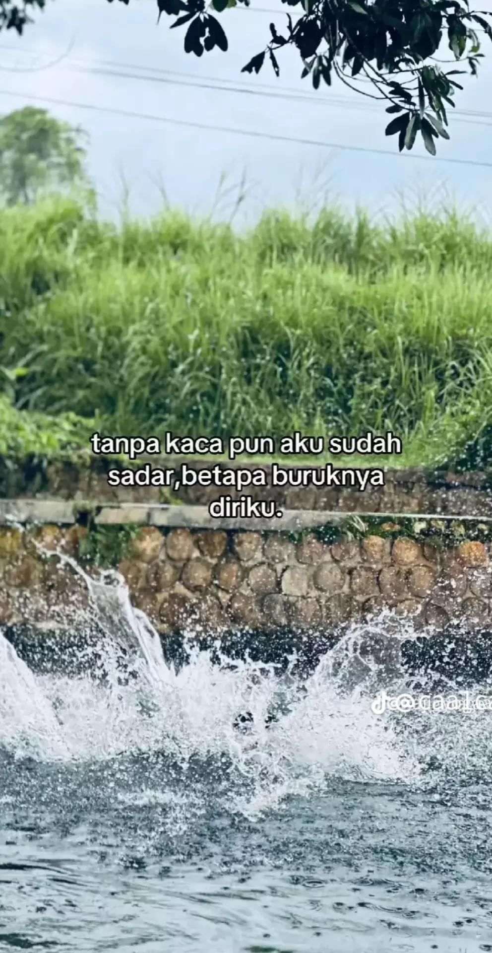 @xyntidd..