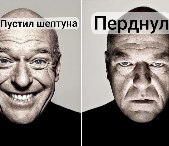 @lᴇrwqz 🦴