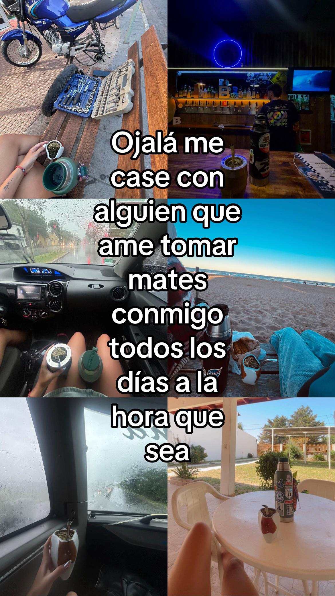 @sashu