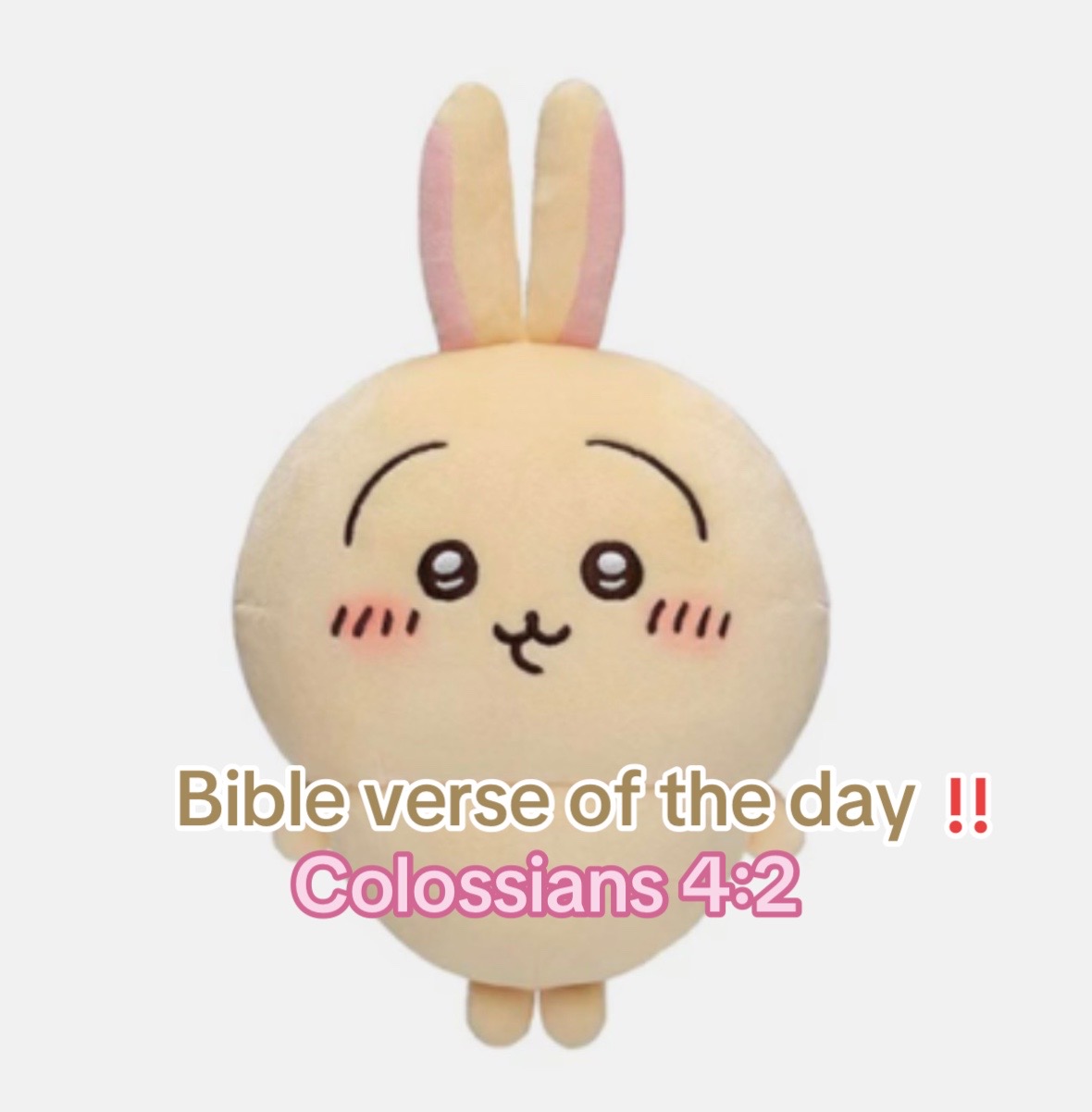 @usagi