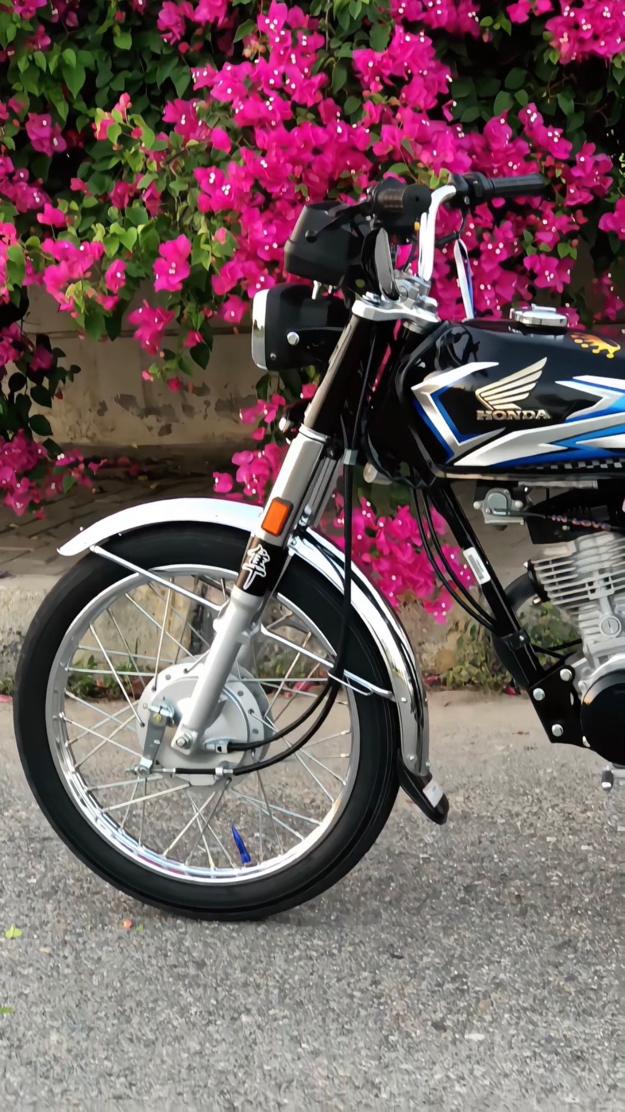 @مَلک زَادہ🥱