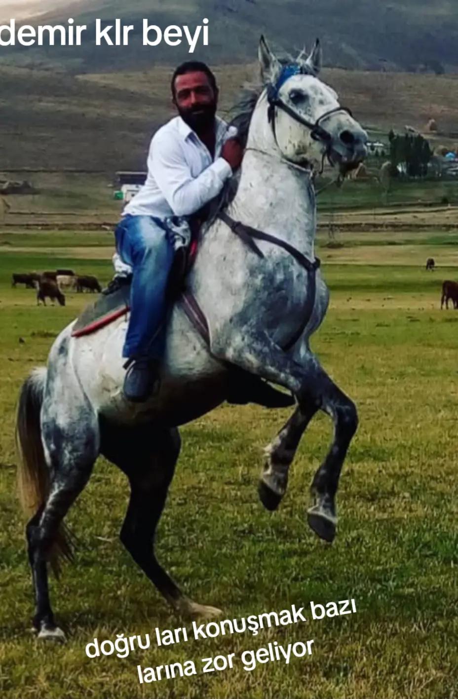 @&ccedil;atlı şaho