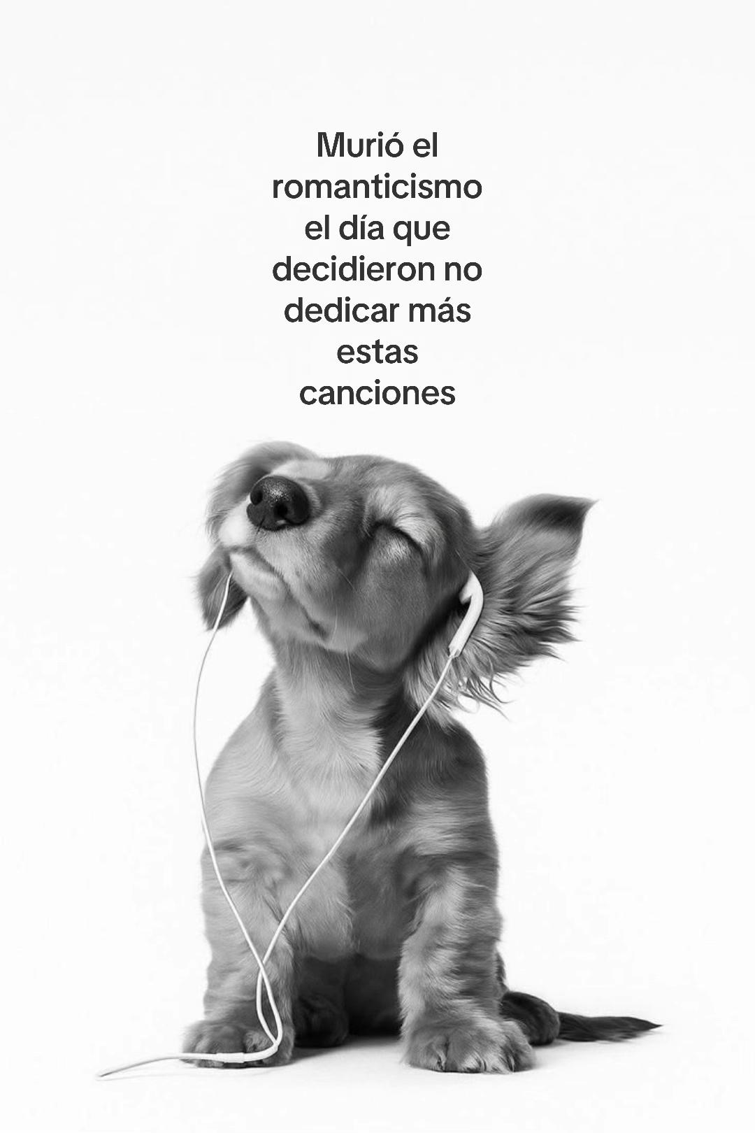 @hey_lci