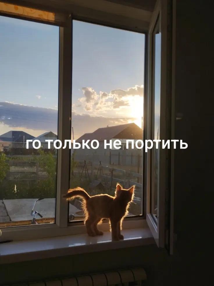 @yana2005