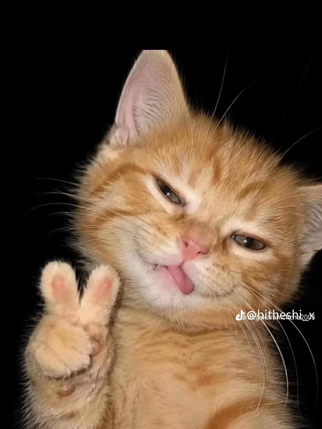 @Nimesh_X