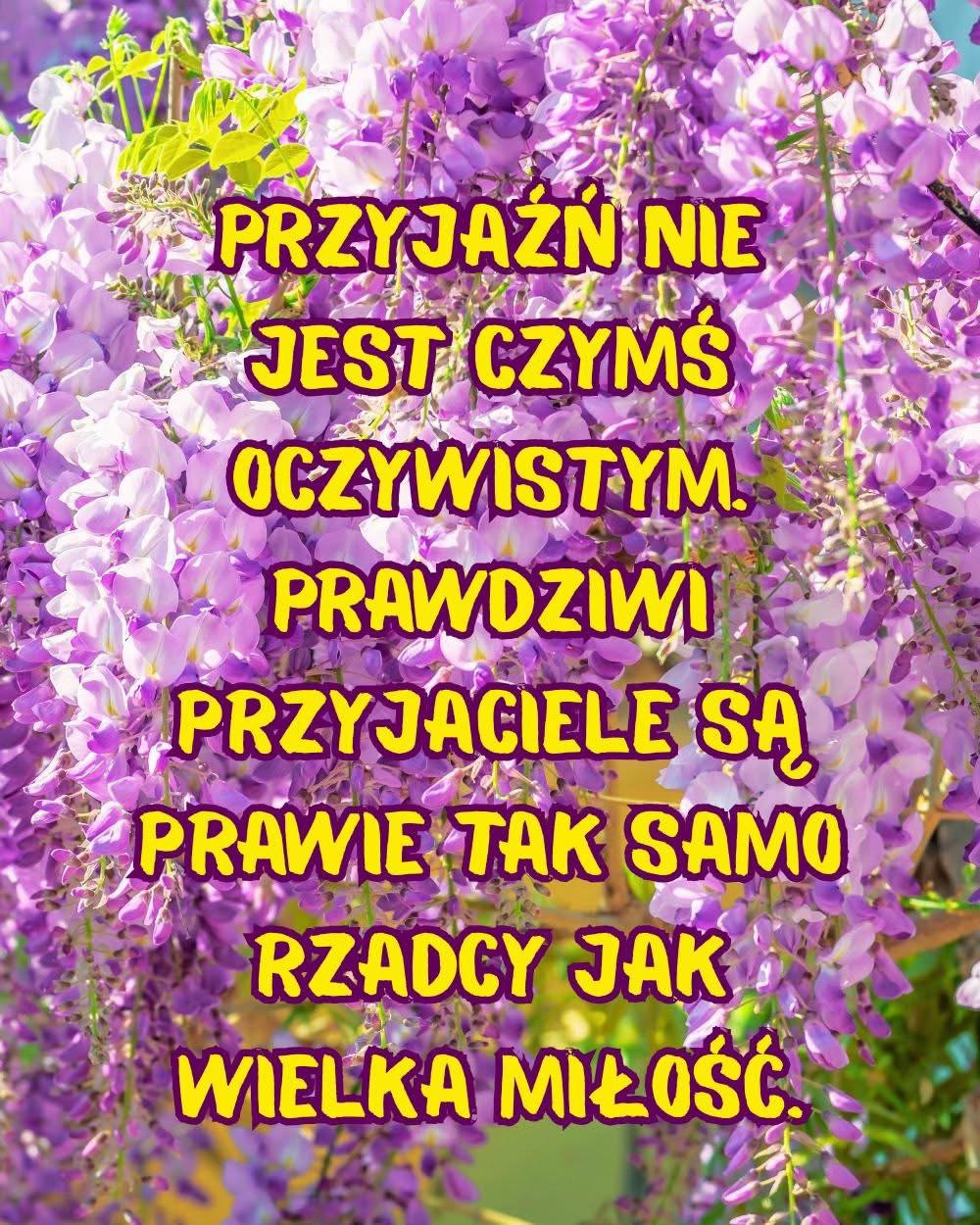 @dann2874