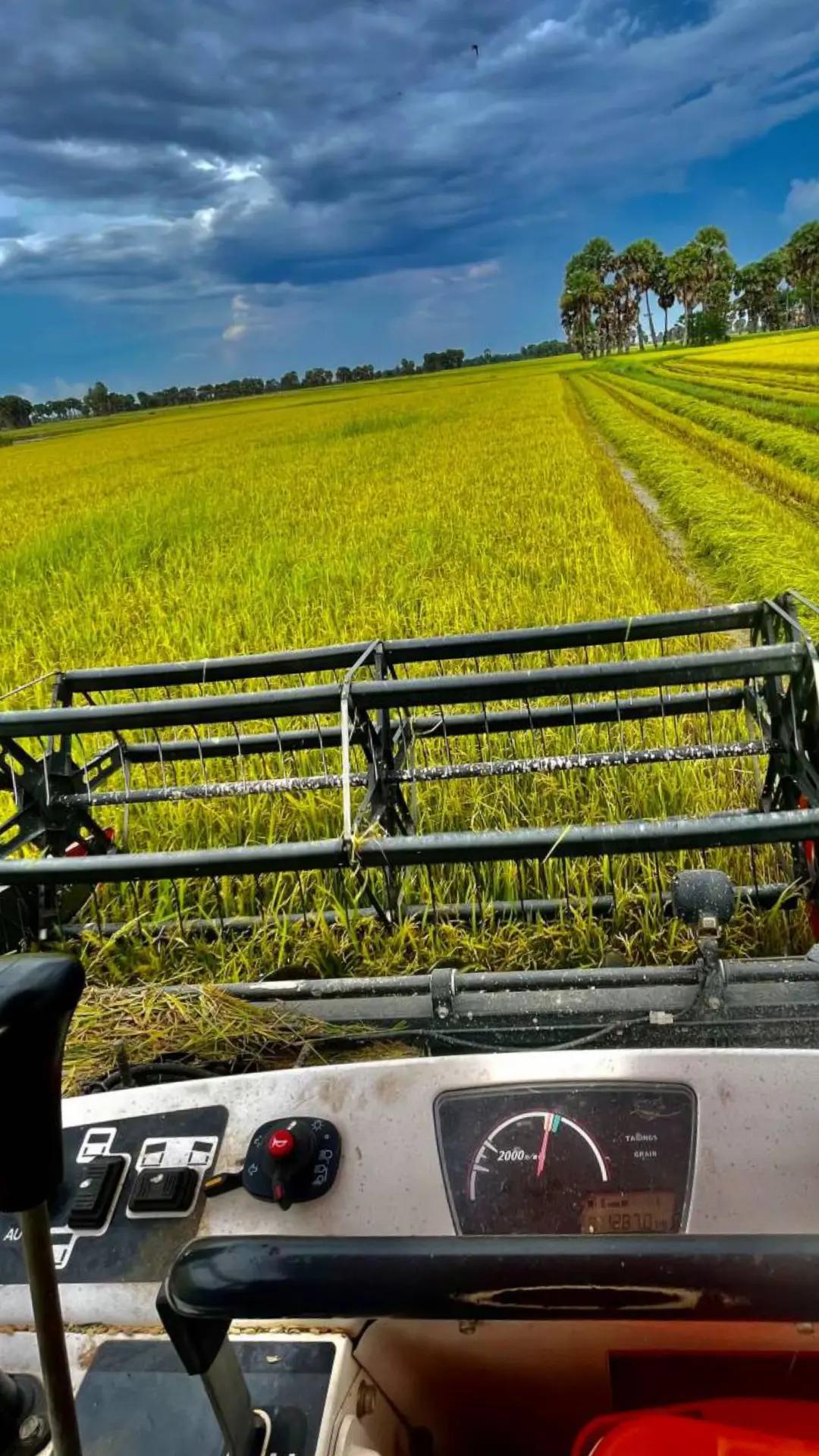 @តៃកុង វ័យក្មេង🌾🚜