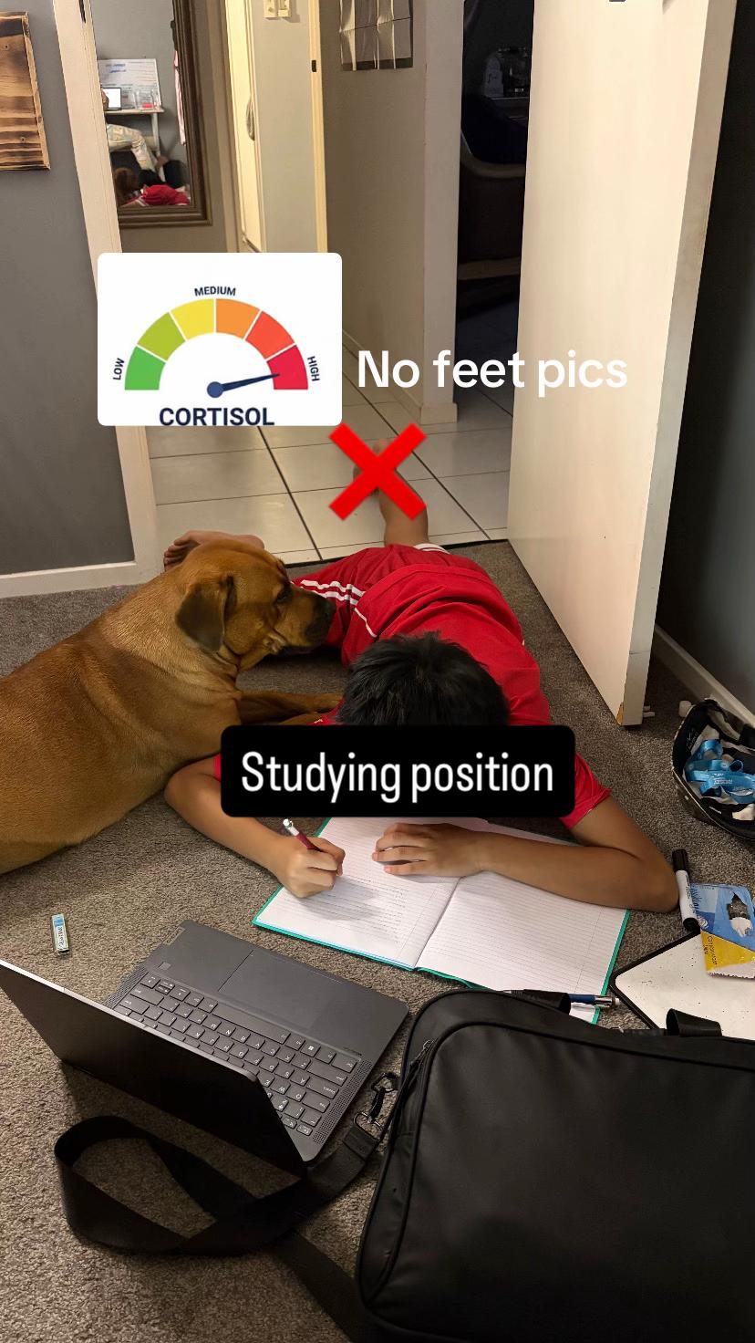 @Dom¡n¡c