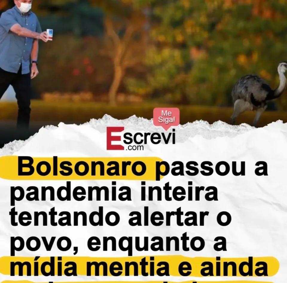 @danieladanssoares