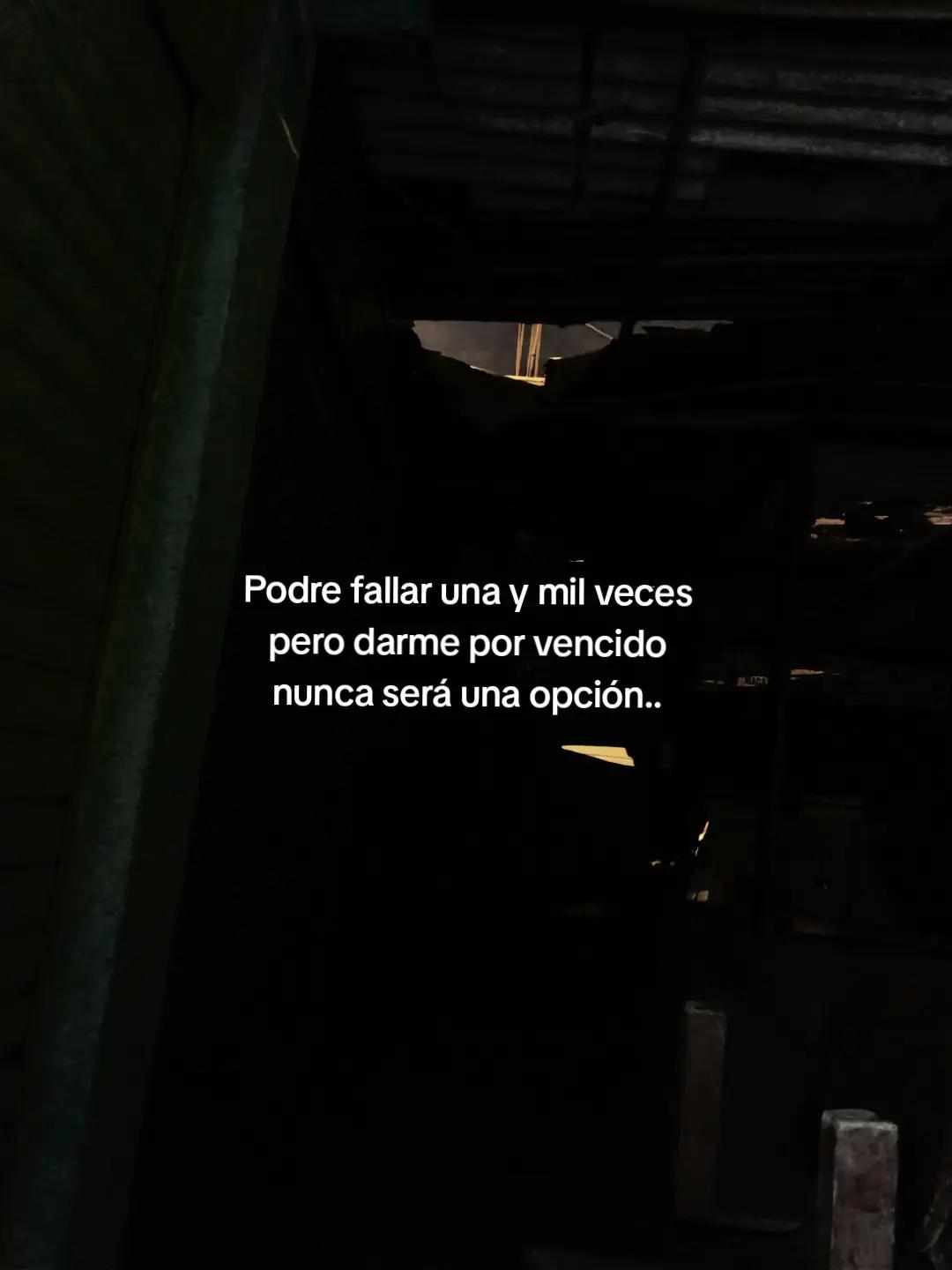 @🕷️