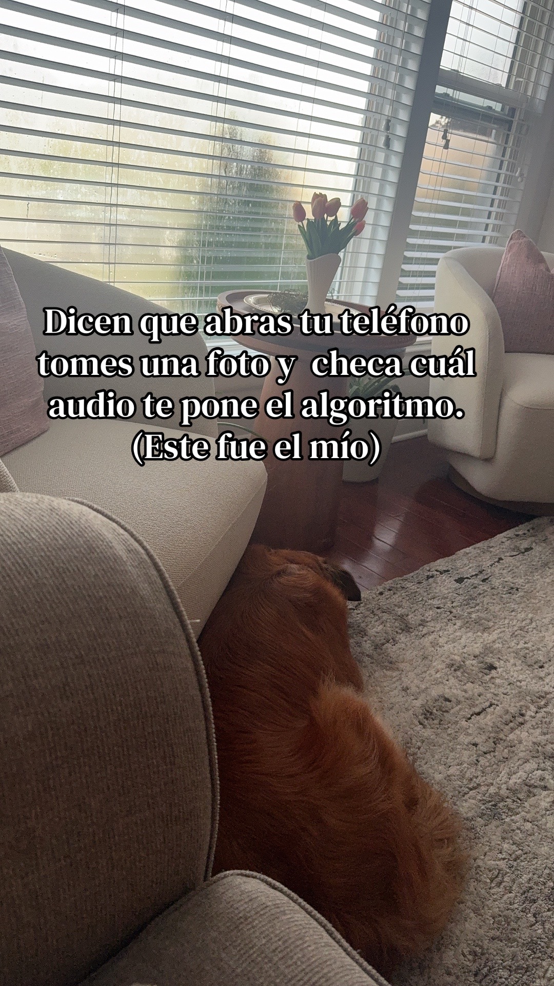 @addiesorto