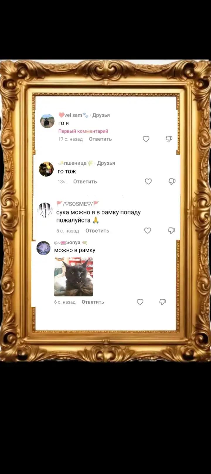 @Ч.В.Н. (pelmeni12306)