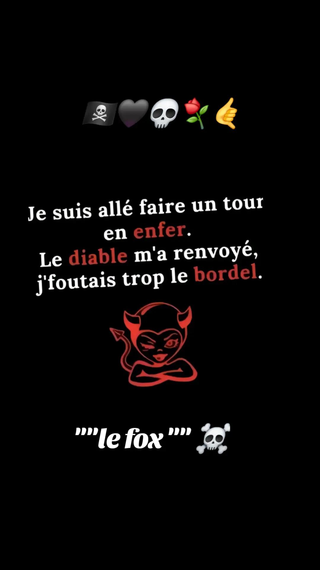 @🇫🇷Le fox✝️🦊☠️white vixen✝️