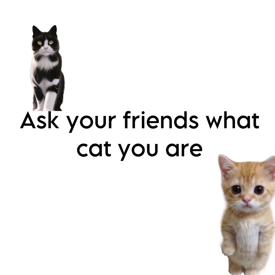 @⋆˙⟡𖦹✮𖦹⟡˙⋆