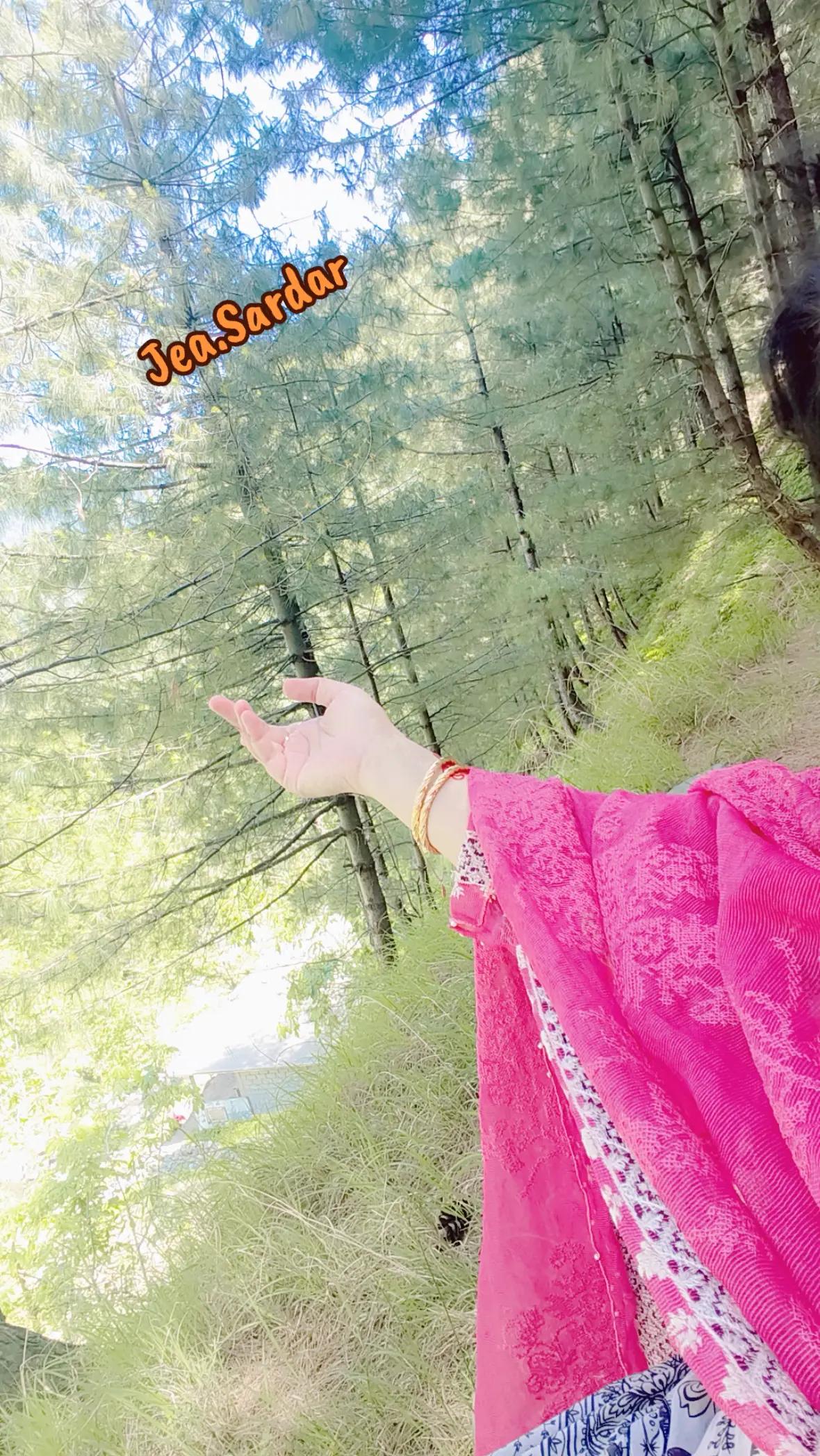 @JEA SARDAR❤️🍁❤️