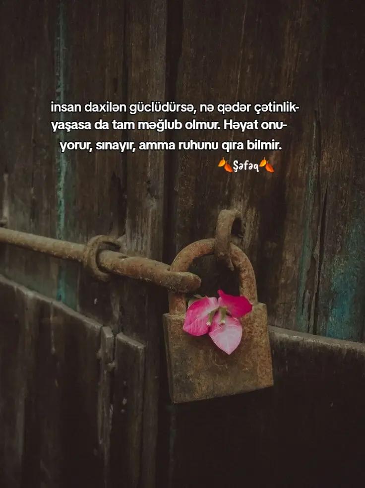 @🍂ŞƏFƏQ🍂