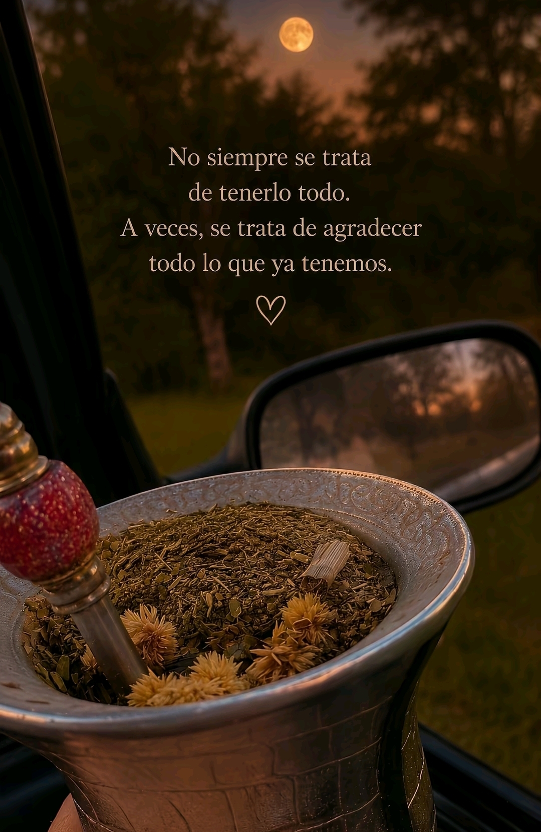 @Tía Susi ✨️