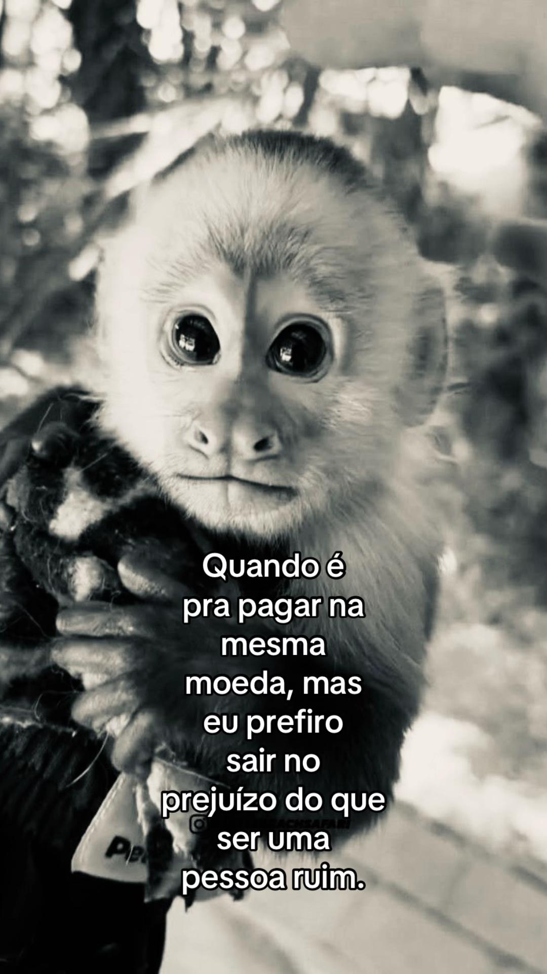 @junin 