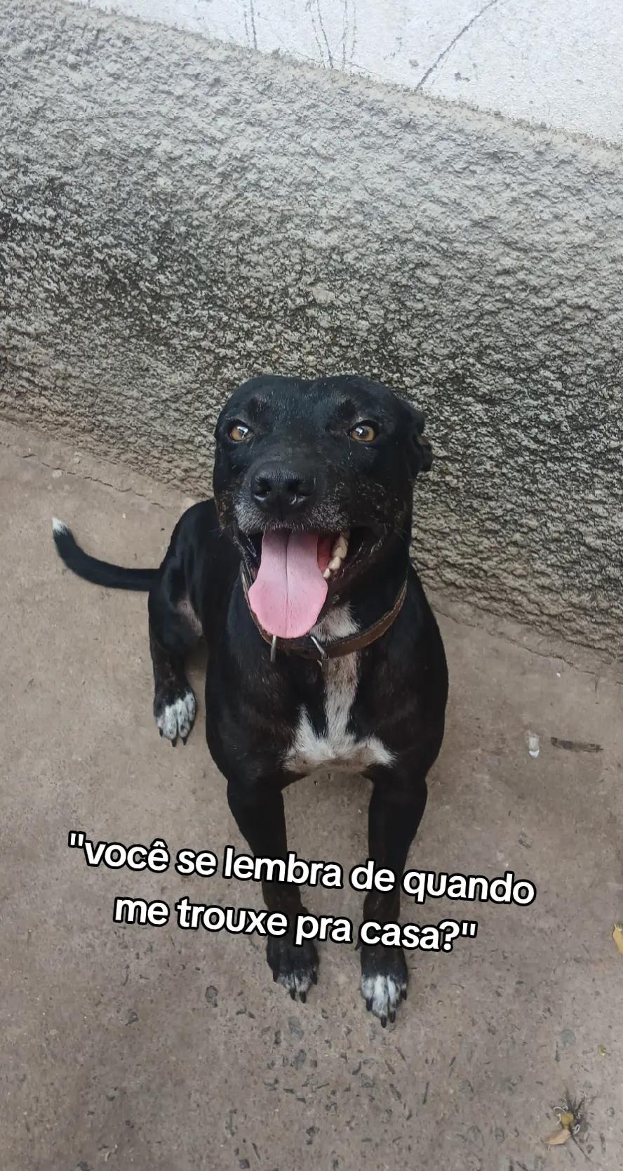 @Maria Eduarda mãe aos 13 anos