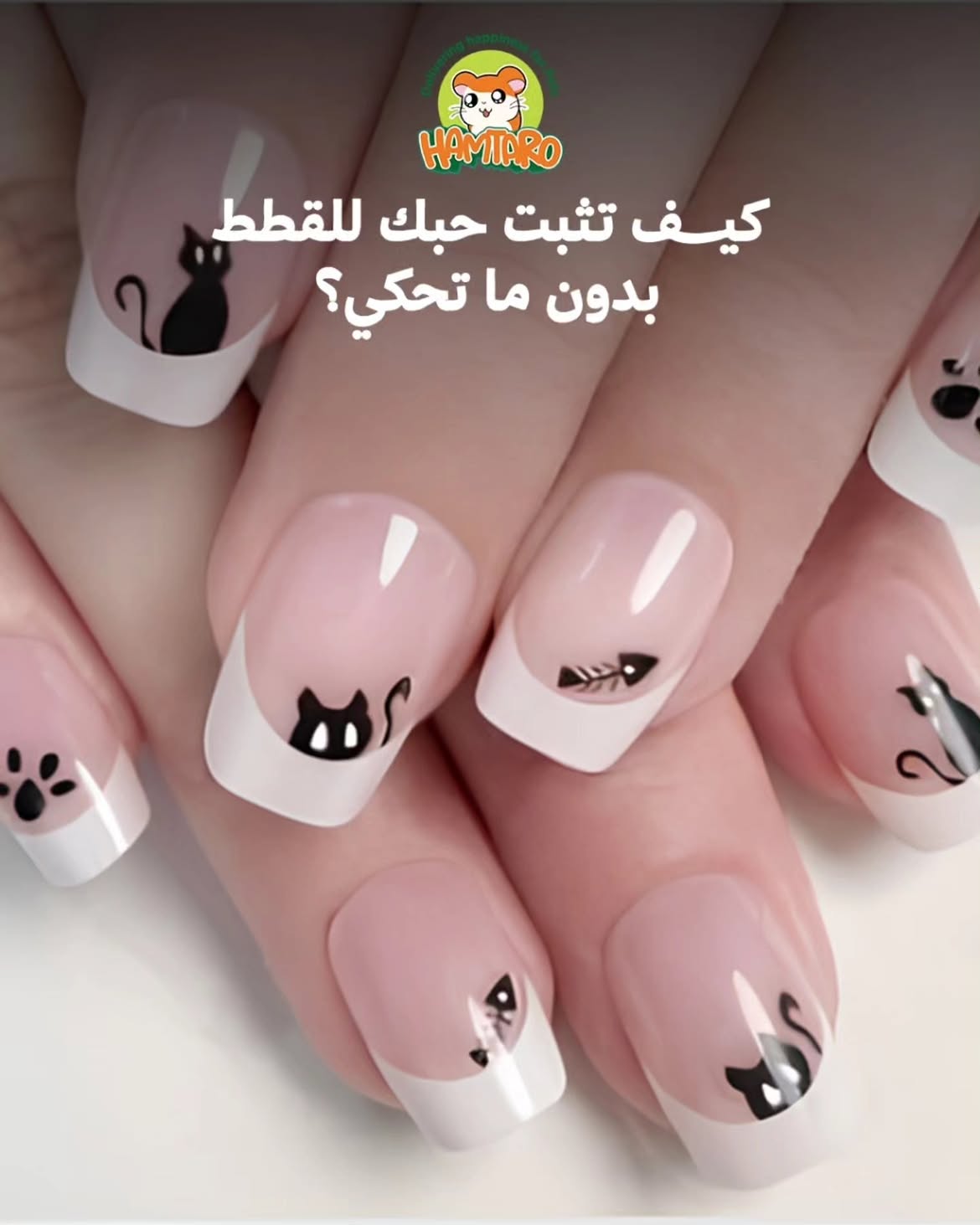 @hamtaro sa