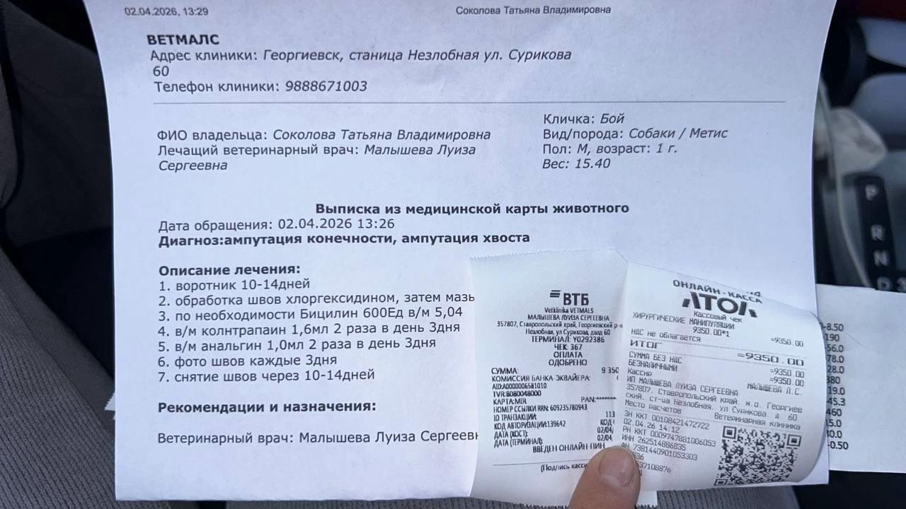@Помощь животныи🫶🏻