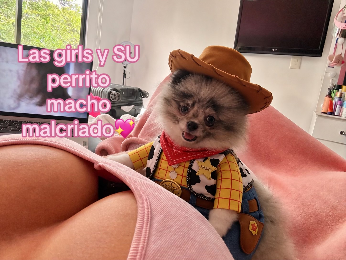 @pautink1🧚🏻♀️