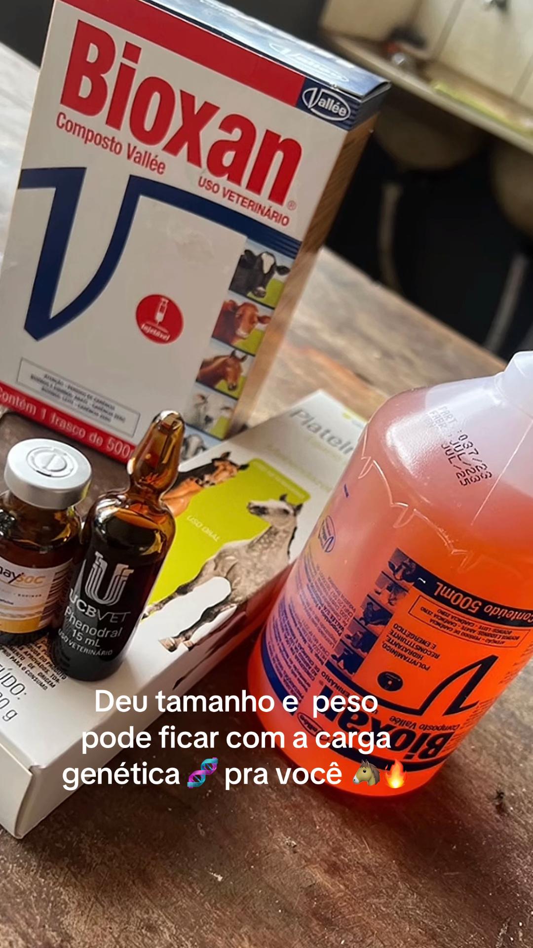 @Loylis Ribeiro