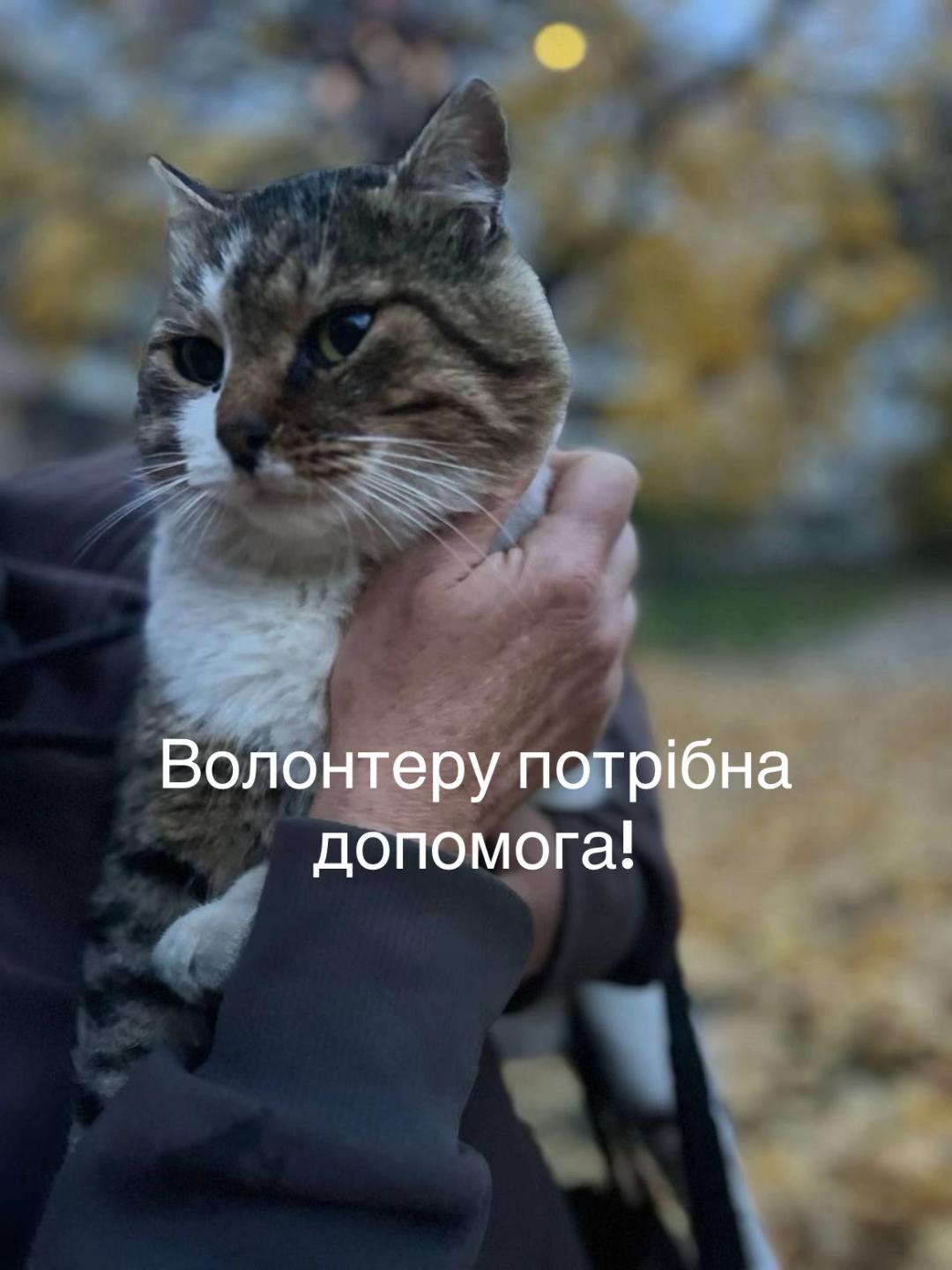 @Алиса