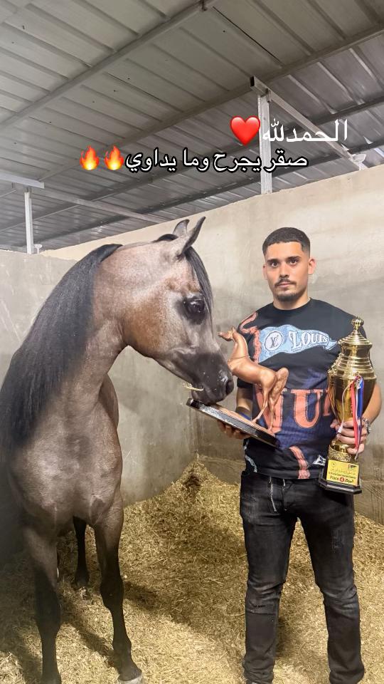 @tarek hodroj 3