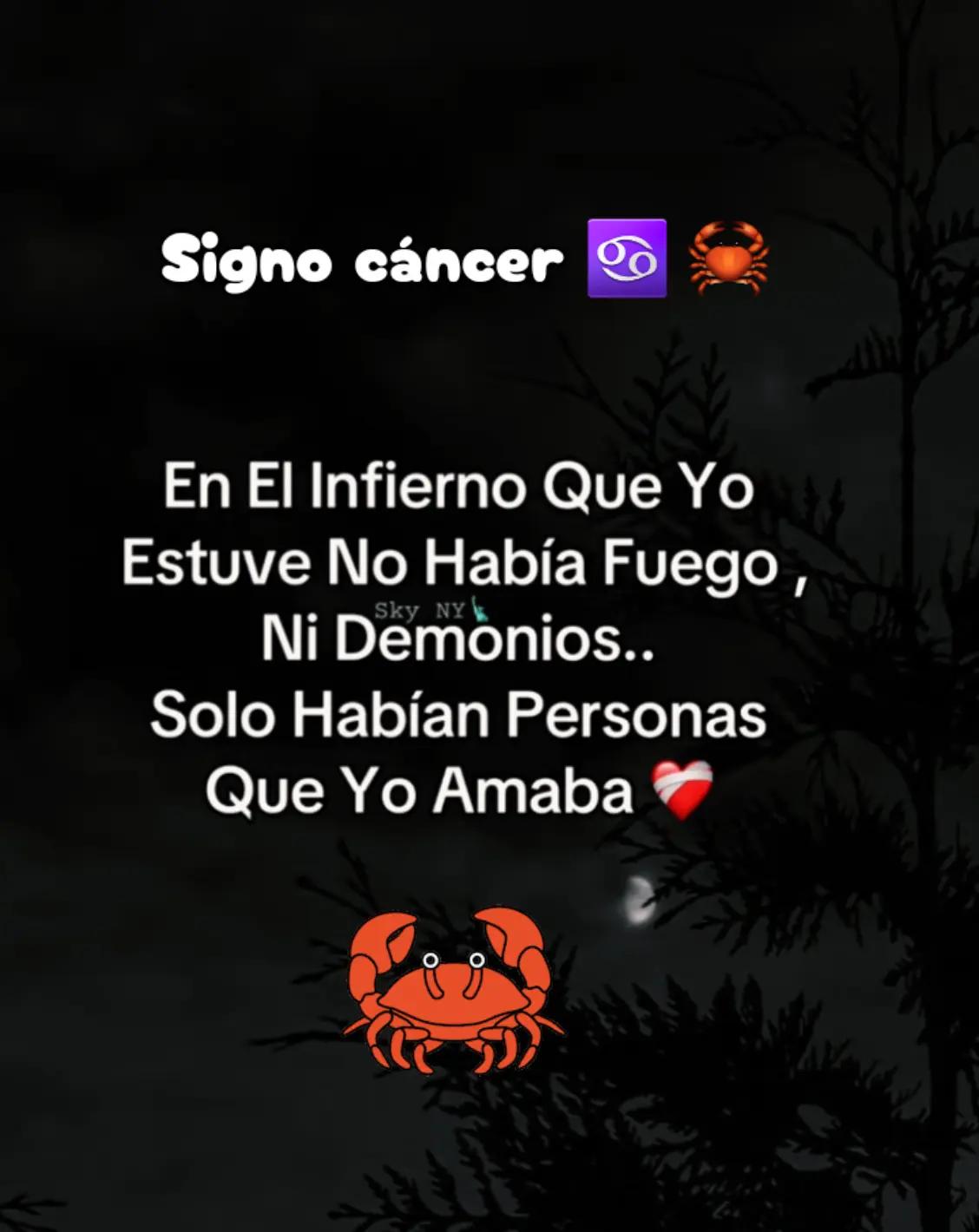 @💯Caminante Virtual 👌