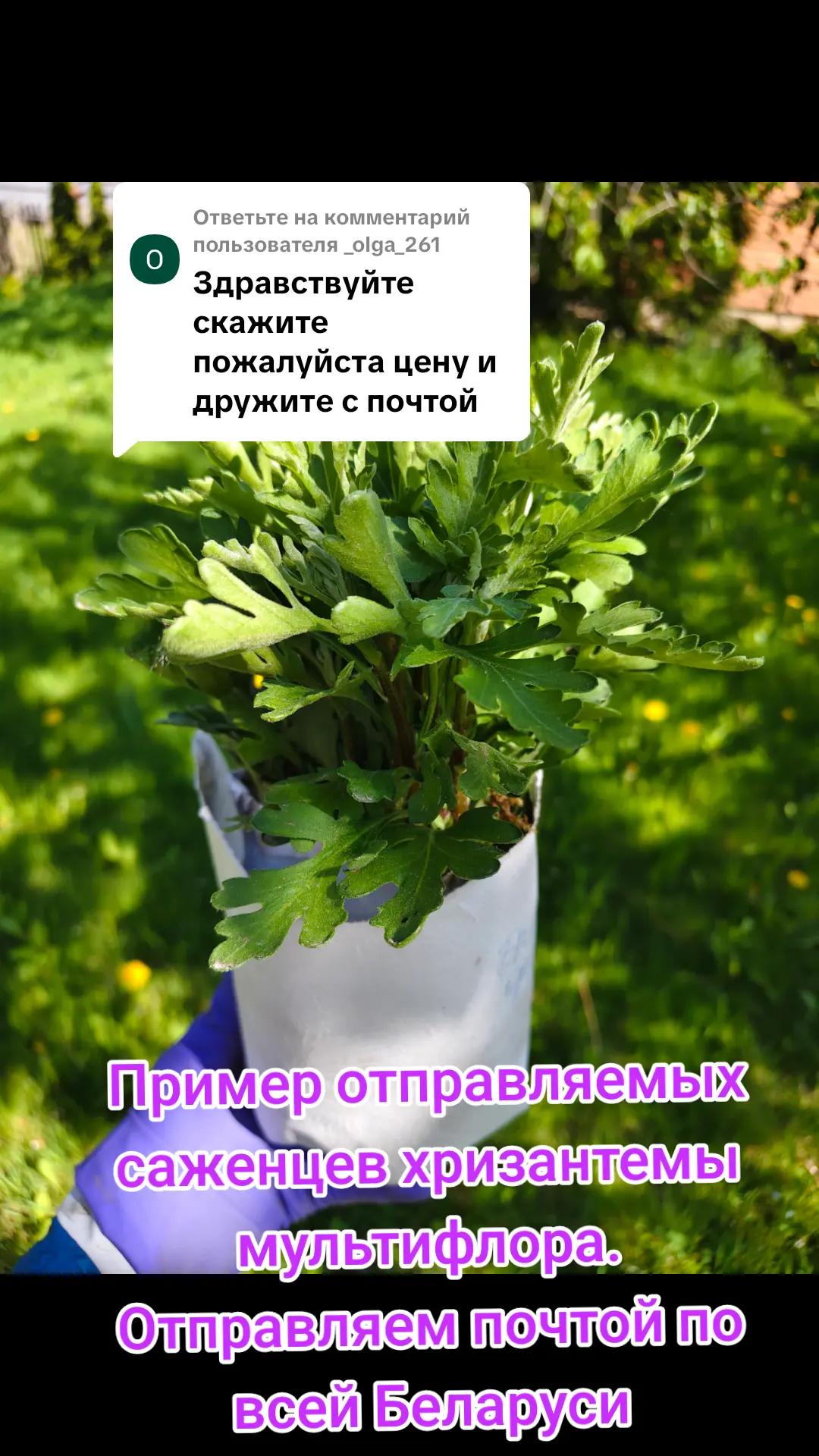 @Интернет-магазин Магия цветов