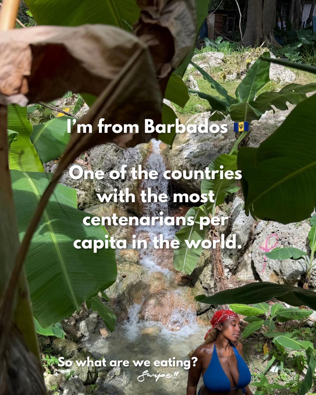 @BIG EATWITHEBS 🌱