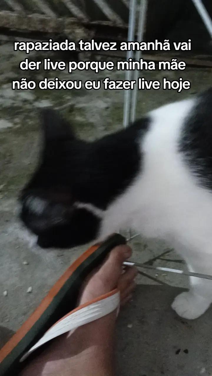 @kawan2013 Nepomuceno