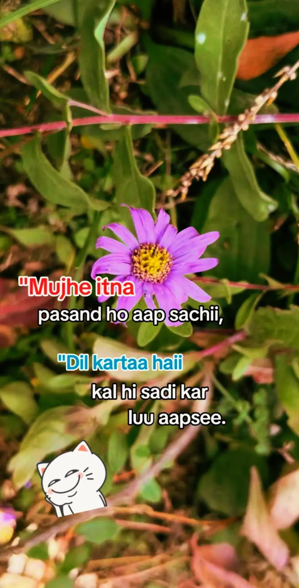 @𝐌𝐫.𝐉𝐡𝐚 🥷