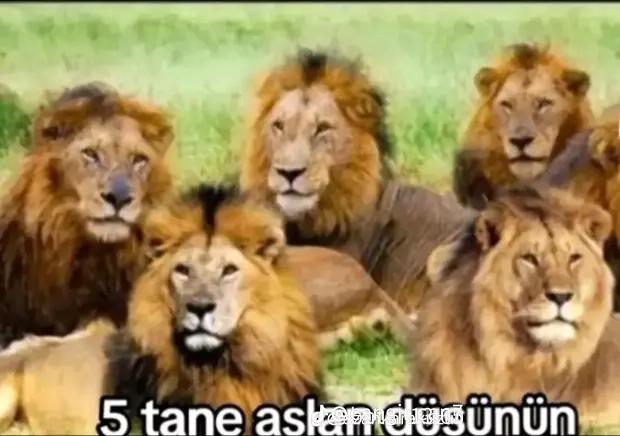 @🦅YUSUF@BİLEN🦅