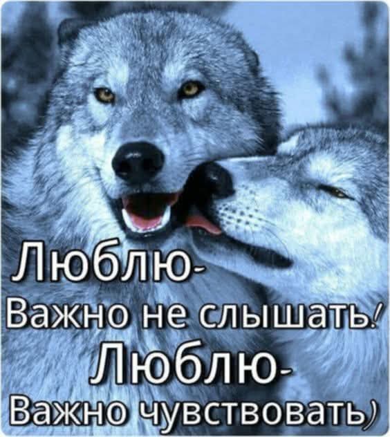 @erjan_talas