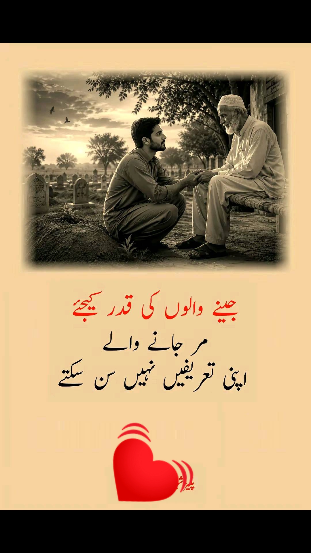 @꧁§༺saJJad 804༻§꧂