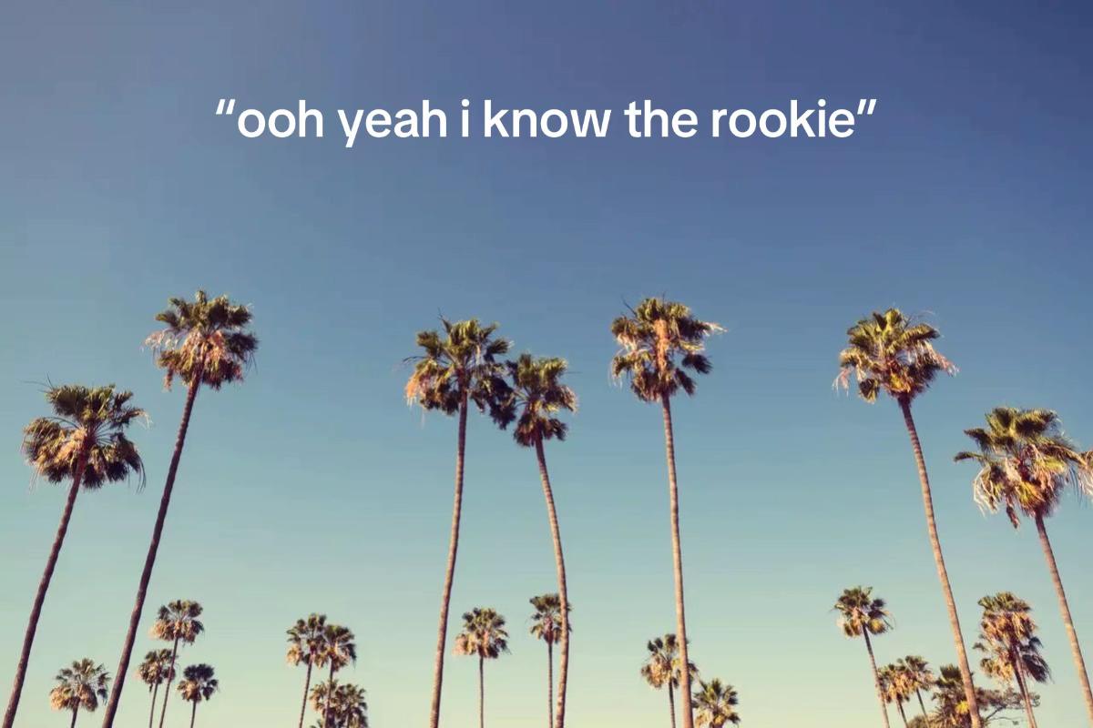 @ele🫧