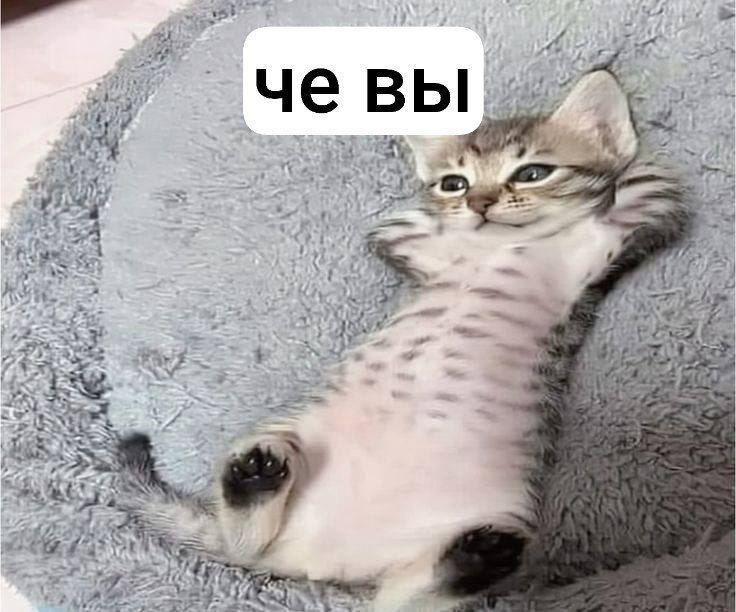 @Евгений