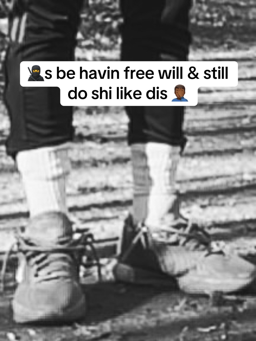 @Ming 🌳🦩