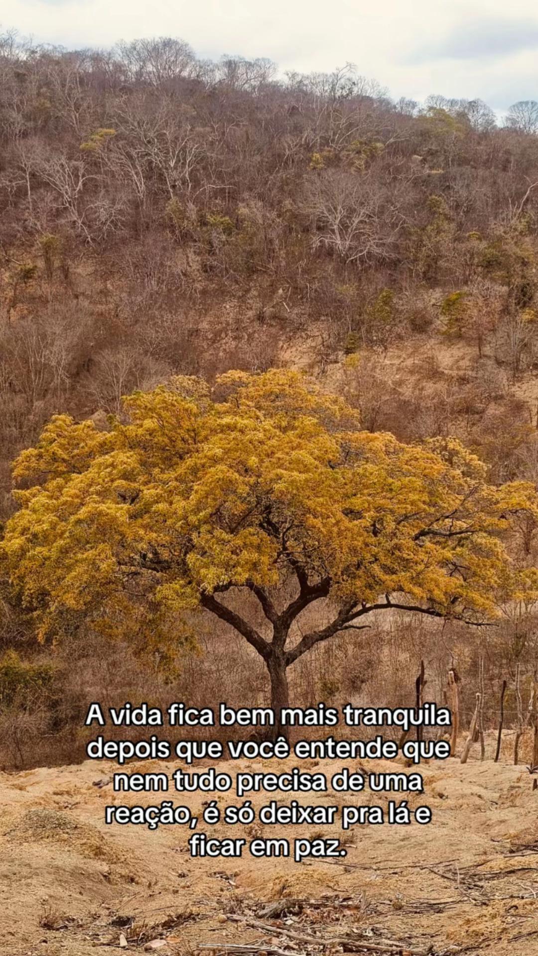 @&bull;🐆