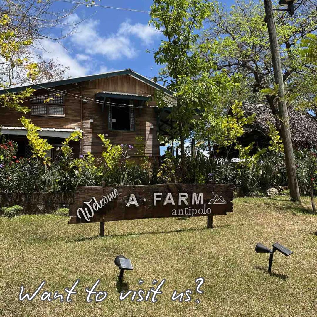 @A FARM Antipolo